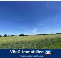 Grundstück in Rieps Cronscamp 349.600,00 € 76000 m² - Rieps / Cronscamp