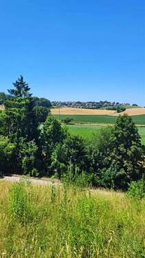 Foto - Grundstück zu verkaufen in Pettendorf , Oberpf 379.000,00 € 709 m²