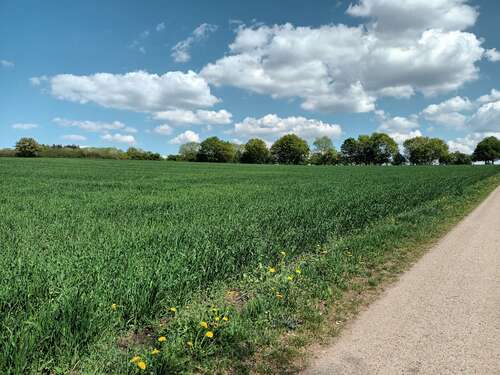 Foto - Grundstück in Treuchtlingen OT Gundelsheim 190.000,00 € 38222 m²