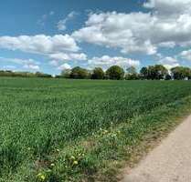 Grundstück in Treuchtlingen OT Gundelsheim 190.000,00 € 38222 m²