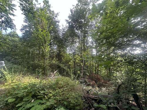 Foto - Grundstück zu verkaufen in Ringelai 55.223,00 € 22410 m²