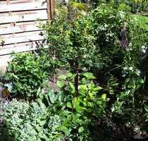 Grundstück zu verkaufen in Düsseldorf 490.000,00 € 700 m²