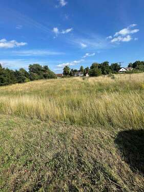 Foto - Grundstück zu verkaufen in Löwenberger Land 79.000,00 € 2462 m²