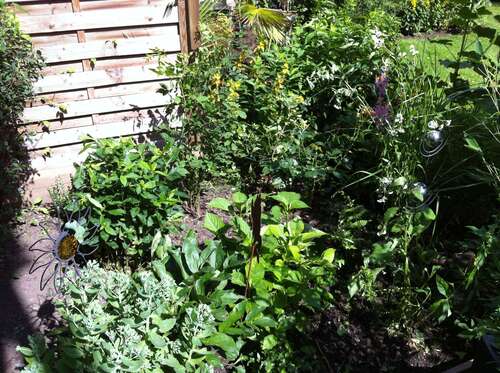 Foto - Grundstück zu verkaufen in Düsseldorf 490.000,00 € 700 m²