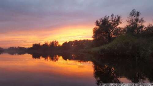 Foto - Haus zum Kaufen in Teterow 195.000,00 € 55 m²