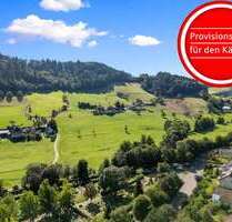 Wohnung zum Kaufen in Waldkirch 265.000,00 € 36.35 m²