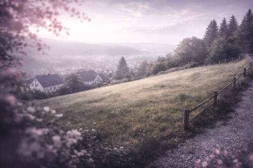 Foto - Grundstück zu verkaufen in Bad Salzdetfurth OT Wesseln 49.000,00 € 580 m²