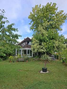 Foto - Haus zum Kaufen in Güster 349.000,00 € 103 m²