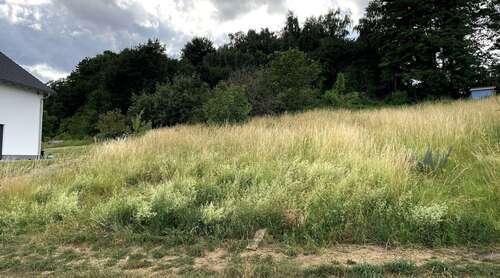 Foto - Grundstück zu verkaufen in Bassenheim 327.600,00 € 1092 m²