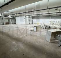 Halle in Dieburg 2.800.000,00 € 3847 m²