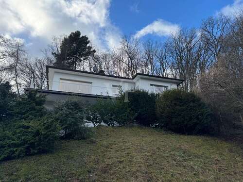 Foto - Wohnung zum Mieten in Tiefenstein Kirschweiler 1.100,00 € 151 m²