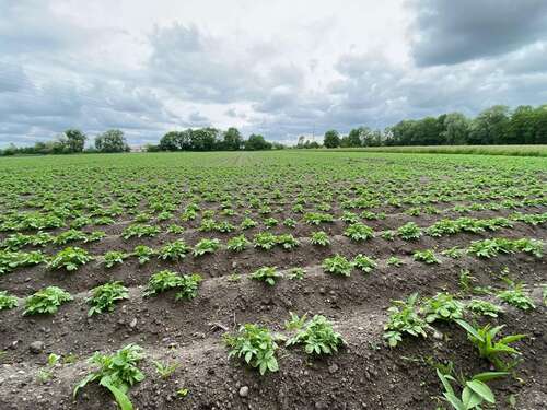 Foto - Spezialgewerbe in Ismaning 183.200,00 €