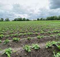 Spezialgewerbe in Ismaning 183.200,00 €