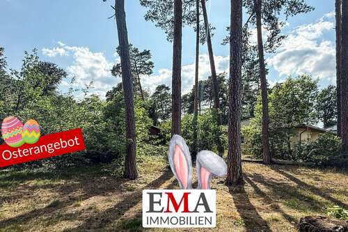 Foto - Grundstück zu verkaufen in Schönwalde-Glien 452.000,00 € 1738 m²