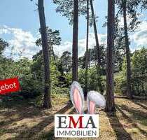 Grundstück zu verkaufen in Schönwalde-Glien 452.000,00 € 1738 m²