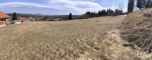 Foto - Grundstück zu verkaufen in Philippsreut 149.990,00 € 1317 m²