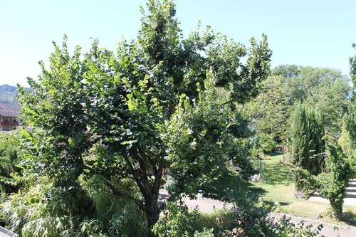 Foto - Wohnung zum Mieten in Ballrechten-Dottingen 1.490,00 € 136.1 m²