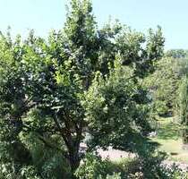 Wohnung zum Mieten in Ballrechten-Dottingen 1.490,00 € 136.1 m²