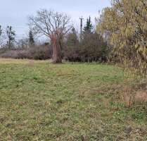 Grundstück zu verkaufen in Wustermark 190.000,00 € 1253 m²