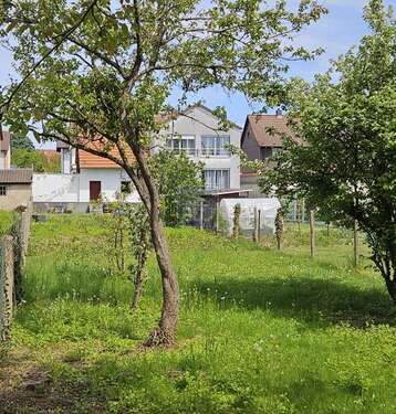 Foto - Grundstück zu verkaufen in Weingarten 248.000,00 € 459 m²