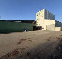 Halle in Uetersen 5.300,00 € 1519 m²