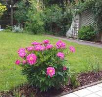 Wohnung zum Mieten in Zorneding 1.450,00 € 90 m²