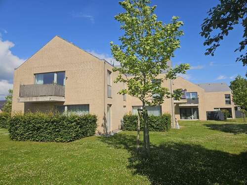 Foto - Wohnung zum Mieten in Mildstedt 525,00 € 52.77 m²
