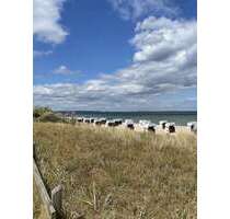 Grundstück zu verkaufen in Scharbeutz 254.000,00 € 410 m²