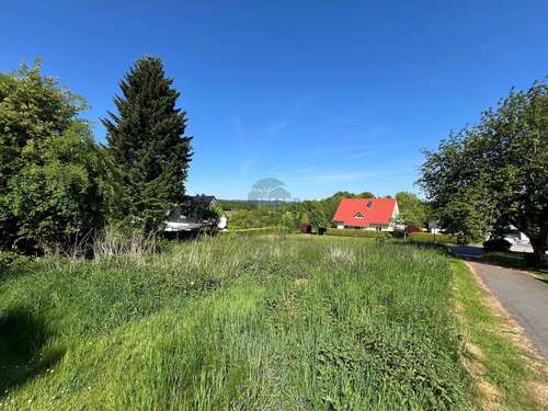 Foto - Grundstück zu verkaufen in Lügde 49.000,00 € 1029 m²