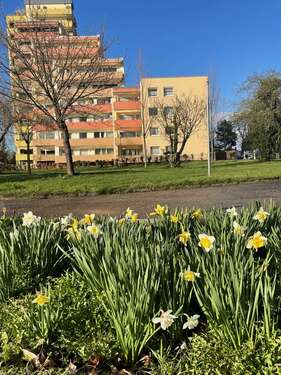 Foto - Wohnung zum Kaufen in hanau kesselstadt 175.000,00 € 70 m²