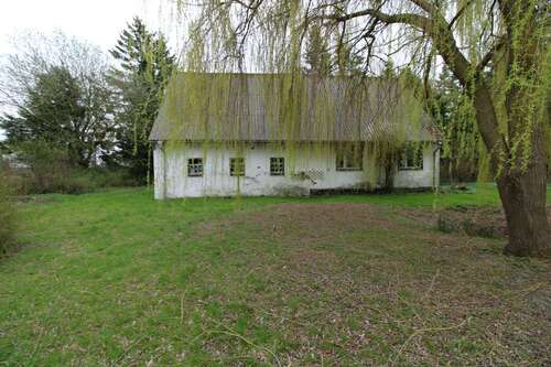 Foto - Haus zum Kaufen in Wittenhagen 99.000,00 € 80.29 m²