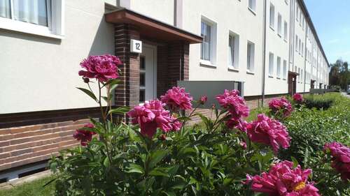 Foto - Wohnung zum Mieten in Magdeburg 480,00 € 65 m²