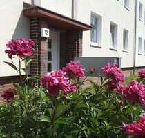 Wohnung zum Mieten in Magdeburg 480,00 € 65 m²