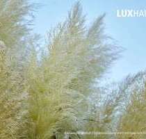 Grundstück zu verkaufen in Eppstein 279.000,00 € 290 m²