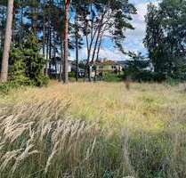 Grundstück zu verkaufen in Hambühren 168.000,00 € 1245 m²