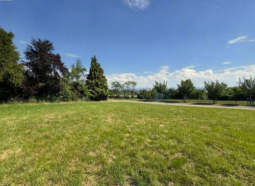 Foto - Grundstück zu verkaufen in Grenzach-Wyhlen Rührberg 298.000,00 € 709 m²