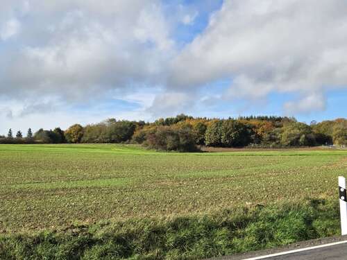 Foto - Haus zum Kaufen in Blankenheim 750.000,00 € 200 m²