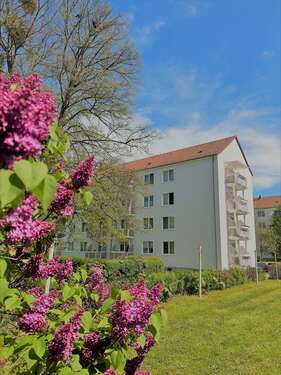 Foto - Wohnung zum Mieten in Wurzen 400,00 € 60.45 m²