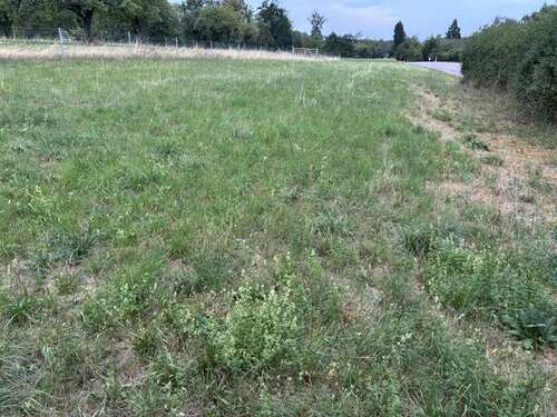 Foto - Grundstück zu verkaufen in Rutesheim 32.445,00 € 927 m²