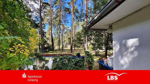 Foto - Haus zum Kaufen in Zschepplin 65.000,00 € 45 m²