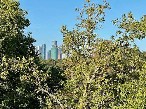 Foto - Wohnung zum Mieten in Frankfurt am Main 980,00 € 63 m²
