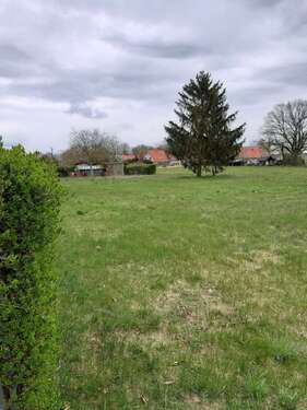 Foto - Haus zum Kaufen in Heinsdorf 295.900,00 € 120 m²