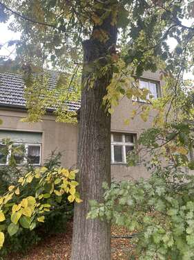 Foto - Haus zum Kaufen in Blankenfelde-Mahlow 449.999,00 € 180 m²