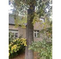 Haus zum Kaufen in Blankenfelde-Mahlow 449.999,00 € 180 m²