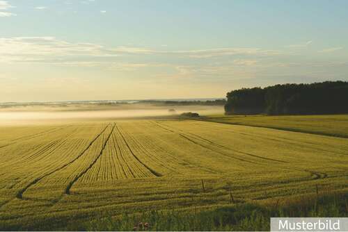 Foto - Grundstück zu verkaufen in Engden 499.000,00 € 49206 m²