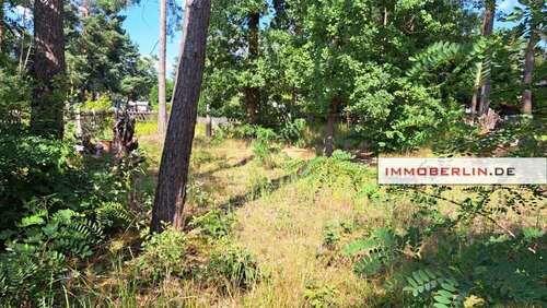 Foto - Grundstück zu verkaufen in Am Mellensee 180.000,00 € 897 m²