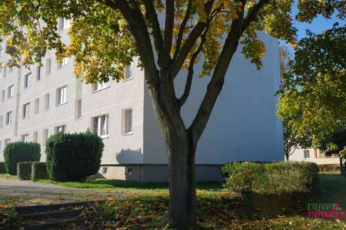 Foto - Wohnung zum Kaufen in Magdeburg 98.000,00 € 60 m²