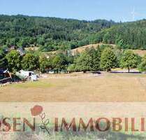Grundstück zu verkaufen in Wald-Michelbach 85.000,00 € 732 m²