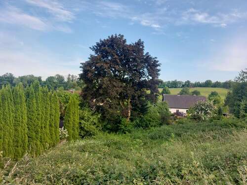 Foto - Grundstück zu verkaufen in Reichshof 79.990,00 € 754 m²