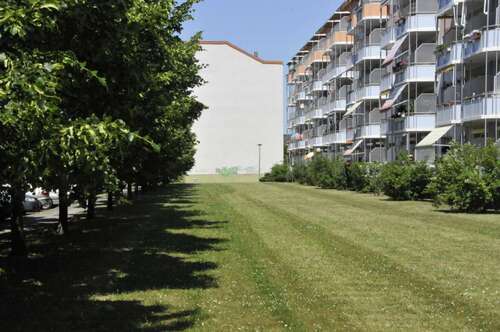 Foto - Wohnung zum Mieten in Leipzig 401,20 € 47.2 m²